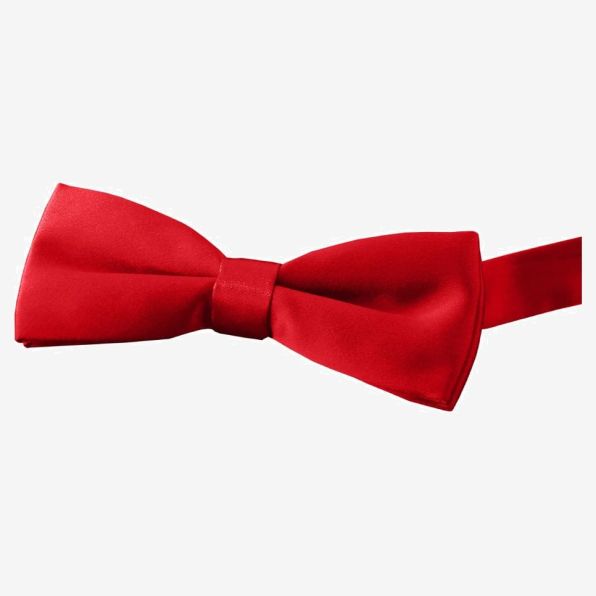 Satin Bow Tie